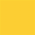 Tru-Color 144 Acrylic Paints 1oz Erie-Lackawanna Yellow