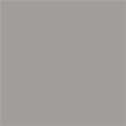 Tru-Color 1461 Light Stone 1oz
