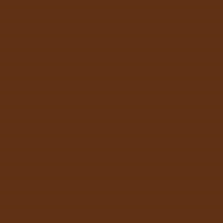 Tru-Color 163 Acrylic Paints 1oz Southern Pacific Depot Trim Brown