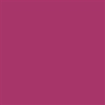 Tru-Color 170 Acrylic Paints 1oz Massachusetts Bay Transit Authority Purple