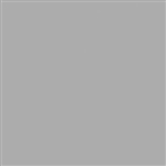 Tru-Color 2006 Acrylic Paints 2oz Concrete