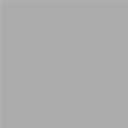 Tru-Color 2006 Acrylic Paints 2oz Concrete
