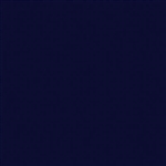 Tru-Color 2010 Acrylic Paints 2oz Black