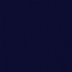 Tru-Color 2010 Acrylic Paints 2oz Black