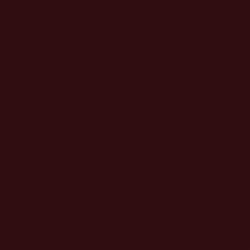 Tru-Color 2019 Acrylic Paints 2oz Atchison Topeka & Santa Fe Brown Pre-1945