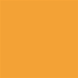 Tru-Color 2021 Acrylic Paints 2oz Atchison Topeka & Santa Fe Yellow