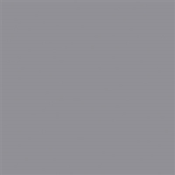 Tru-Color 2077 Acrylic Paints 2oz Silver