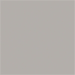Tru-Color 2080 Acrylic Paints 2oz Imitation Aluminum
