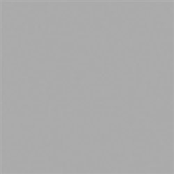Tru-Color 2172 Acrylic Paints 2oz Weathered Concrete Aged Concrete Flat
