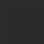 Tru-Color 2174 Acrylic Paints 2oz Grime Flat
