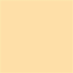 Tru-Color 225 Acrylic Paints 1oz Passenger Car Interior Cream