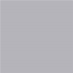 Tru-Color 2257 Acrylic Paints 2oz Platinum Mist Flat
