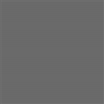 Tru-Color 22843 Flat Brushable Color Acrylic Paints 2oz Union Pacific Harbor Mist Gray