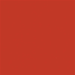 Tru-Color 2295 Acrylic Paints 2oz Central Railroad of New Jersey Tangerine