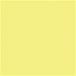 Tru-Color 2315 Acrylic Paints 2oz Seaboard Coast Line Yellow
