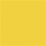 Tru-Color 2321 Acrylic Paints 2oz Florida East Coast Modern Yellow