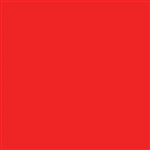 Tru-Color 2323 Acrylic Paints 2oz Chicago North Shore & Milwaukee Red