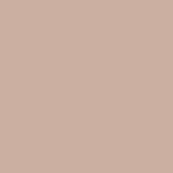 Tru-Color 242 Acrylic Paints 1oz Burlington Northern Executive Cream
