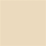 Tru-Color 277 Acrylic Paints 1oz Atlantic Coast Line Hopper Beige