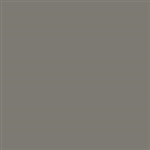 Tru-Color 29 Acrylic Paints 1oz Delaware & Hudson Gray