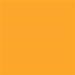 Tru-Color 309 Acrylic Paints 1oz Florida East Coast Older Scheme Yellow