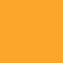 Tru-Color 309 Acrylic Paints 1oz Florida East Coast Older Scheme Yellow