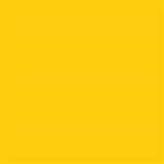 Tru-Color 319 Acrylic Paints 1oz Missouri-Kansas-Texas Yellow