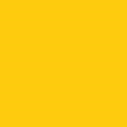 Tru-Color 319 Acrylic Paints 1oz Missouri-Kansas-Texas Yellow