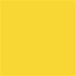 Tru-Color 321 Acrylic Paints 1oz Florida East Coast Modern Yellow