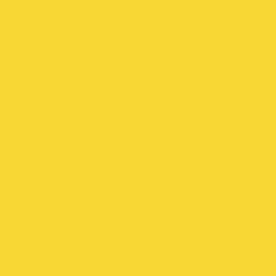 Tru-Color 321 Acrylic Paints 1oz Florida East Coast Modern Yellow