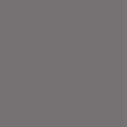 Tru-Color 331 Acrylic Paints 1oz Chicago Burlington & Quincy Gary #3