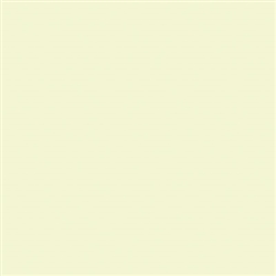 Tru-Color 2332 Acrylic Paints 2oz CSX Transportation Beige/Cream