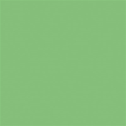 Tru-Color 337 Acrylic Paints 1oz Seaboard Air Line Mint Green