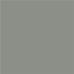 Tru-Color 348 Acrylic Paints 1oz Weathered Wood