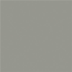 Tru-Color 351 Acrylic Paints 1oz Kansas City Southern Hopper Gray