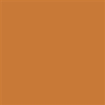 Tru-Color 48 Acrylic Paints 1oz Spokane Portland & Seattle Yellow