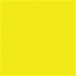 Tru-Color 534 Automotive Color High-Gloss Acrylic Paints 1oz School Bus Yellow
