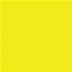 Tru-Color 534 Automotive Color High-Gloss Acrylic Paints 1oz School Bus Yellow