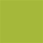 Tru-Color 554 Automotive Color High-Gloss Acrylic Paints 1oz Kandy Lime Green