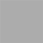 Tru-Color 6 Acrylic Paints 1oz Concrete