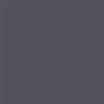 Tru-Color 802 Flat Brushable Color Acrylic Paints 1oz Dark Gray