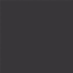 Tru-Color 805 Flat Brushable Color Acrylic Paints 1oz Black