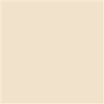 Tru-Color 818 Flat Brushable Color Acrylic Paints 1oz Light Tan