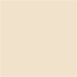 Tru-Color 818 Flat Brushable Color Acrylic Paints 1oz Light Tan