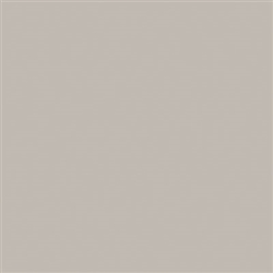 Tru-Color 828 Flat Brushable Color Acrylic Paints 1oz Imitation Aluminum