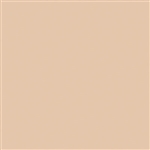 Tru-Color 829 Flat Brushable Color Acrylic Paints 1oz Sand