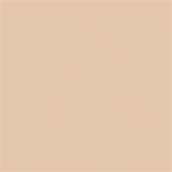Tru-Color 829 Flat Brushable Color Acrylic Paints 1oz Sand