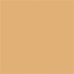 Tru-Color 832 Flat Brushable Color Acrylic Paints 1oz Depot Buff