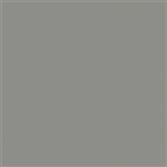 Tru-Color 855 Flat Brushable Color Acrylic Paints 1oz Weathered Gray Wood