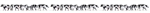 Walthers 6092 HO Cows Black and White pkg(21)
